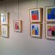 Grayduck Gallery