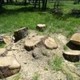 St George Tree Services
