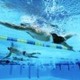Chaco Swimming School