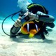 Naperville Scuba Diving Equipment And Scuba Diving Lessons By Below H2O