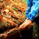 Leafguard Pty Ltd