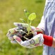 Plantingpromises