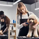 B ﹠ B Pet Grooming